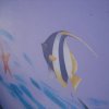 Spiaggia 005